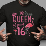 Sweet Sixteen Birthday Party Gift I Sweet 16 Flamingo Birthday Shirt - Scotstee Shop