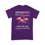 Flamingo Shirt Apparently We're Trouble When We Are Together Who Knew - Scotstee Shop