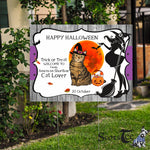 Halloween Decorations Outdoor Halloween Yard Sign Cute Cat Halloween American Shorthair Jack O Lantern Pumpkin Halloween Yard Decorations - Scotstee Shop