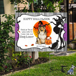 Halloween Decorations Outdoor Halloween Yard Sign Cute Dog Halloween Collie Jack O Lantern Pumpkin Halloween Yard Decorations - Scotstee Shop