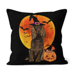 Halloween Pillow Dog Halloween Boykin Spaniel Jack O Lantern Pumpkin Halloween Throw Pillows Canvas Throw Pillow - Scotstee Shop