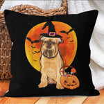 Halloween Pillow Dog Halloween Brussels Griffon Jack O Lantern Pumpkin Halloween Throw Pillows Canvas Throw Pillow - Scotstee Shop
