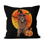 Halloween Pillow Dog Halloween Newfoundland Jack O Lantern Pumpkin Halloween Throw Pillows Canvas Throw Pillow - Scotstee Shop